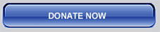 donate now button